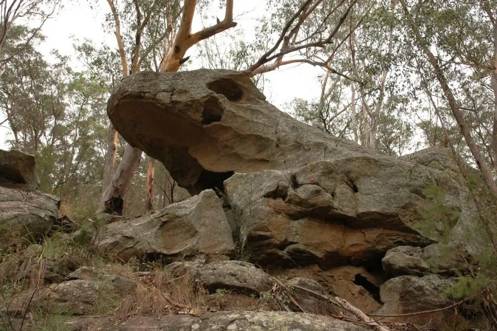 The Kangaroo's Leap: A Dreamtime Story of Creation and Resilience